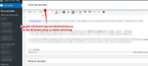 Cách ẩn thanh header chỉnh sửa sản phẩm trong WooCommerce